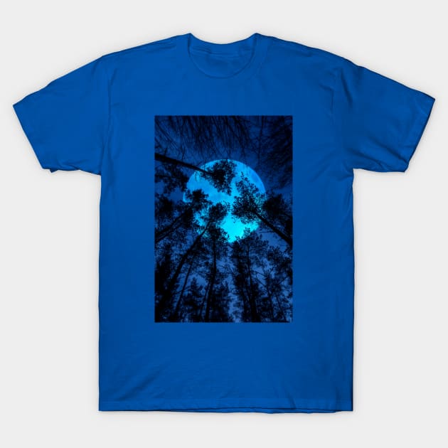 Trees By Moonlight T-Shirt by David Lichtneker